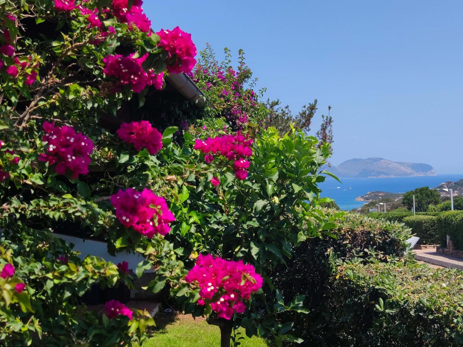 Capo Ceraso Family Resort Коста-Кораллина Номер фото